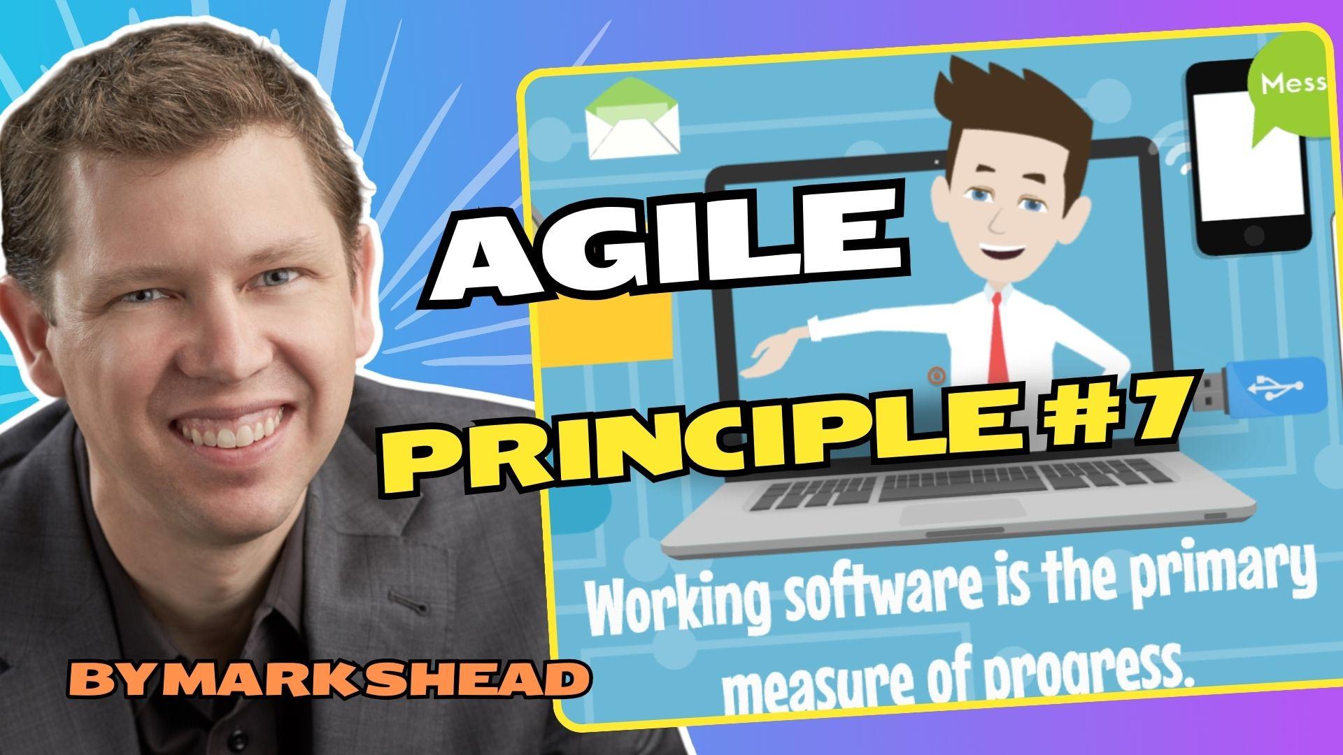 Agile Cartoon Premiere on YouTube - Agile Principle #7 - Friday!